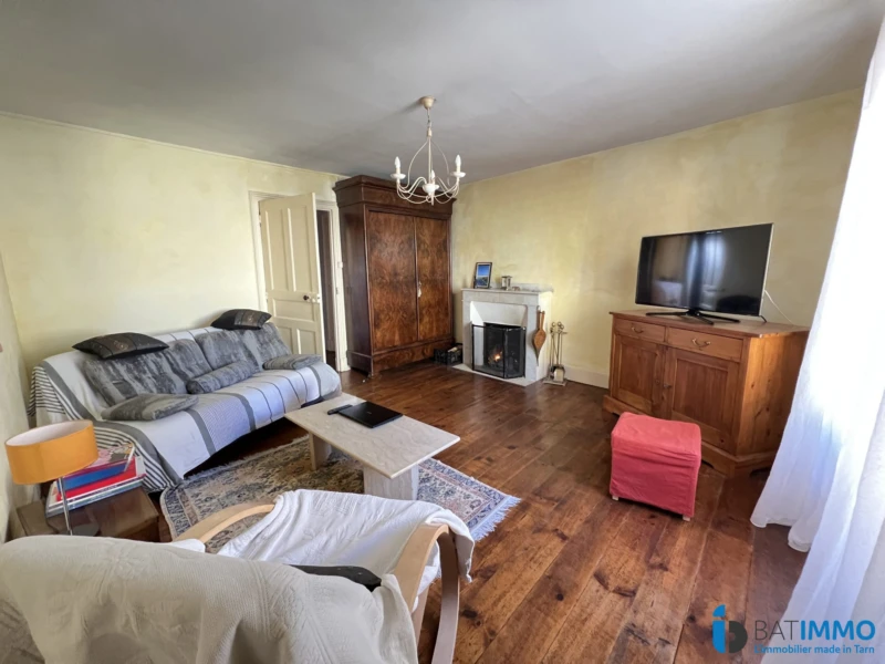 Maison principale (1er) : Salon (avec cheminée)