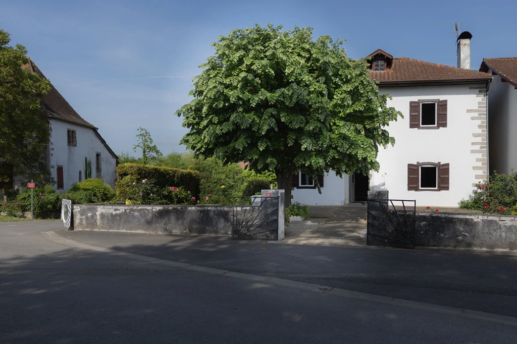 Photo 21