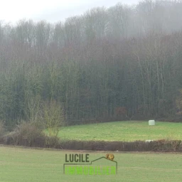 TERRAIN NATUREL 2