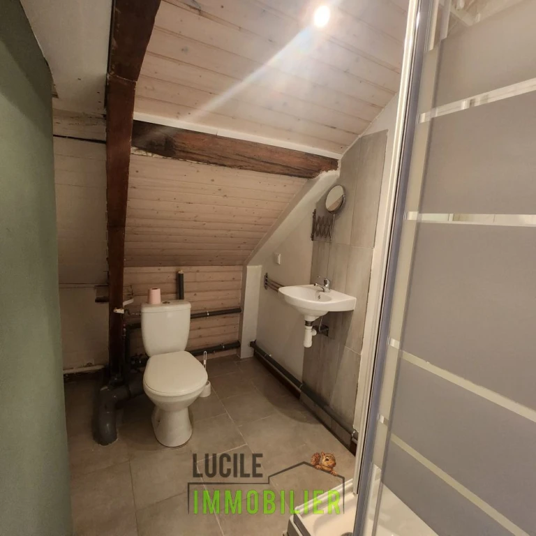 Idéal pour investisseur 1 bien 2 logements 9