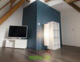 Appartement dans ancien hôtel T2 meublé 1