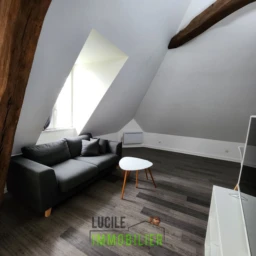 Appartement dans ancien hôtel T2 meublé 2