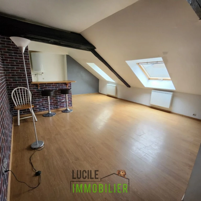 Appartement au chateau vendu loué 1