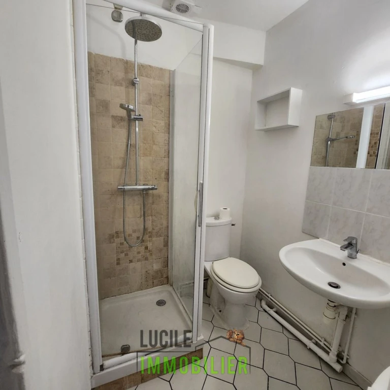 Appartement au chateau vendu loué 3