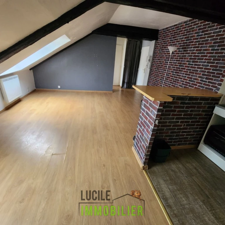 Appartement au chateau vendu loué 4