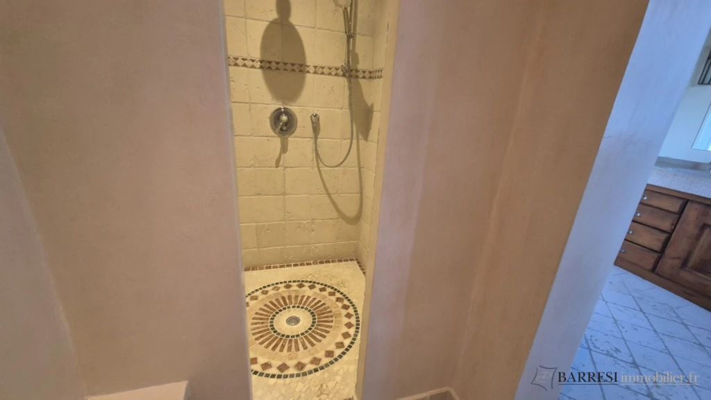 Douche salle d'eau 1