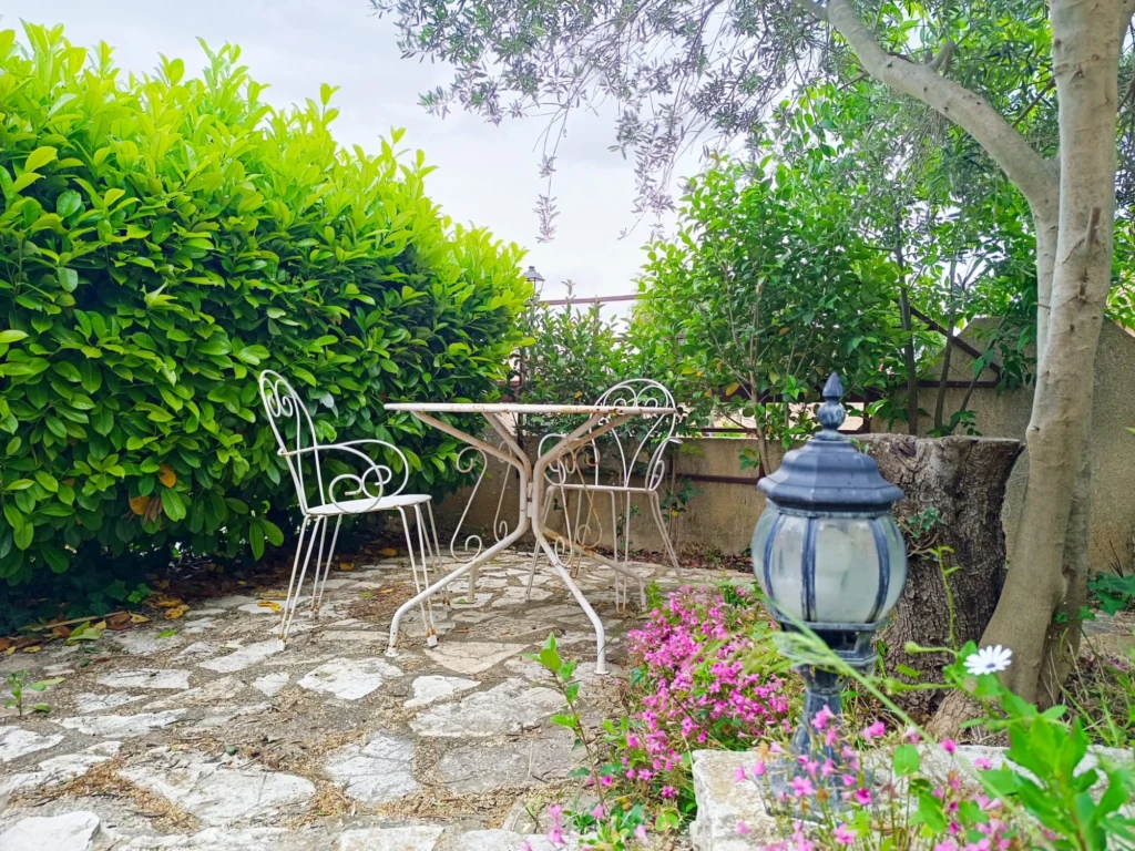 Terrasse côté séjour/cuisine