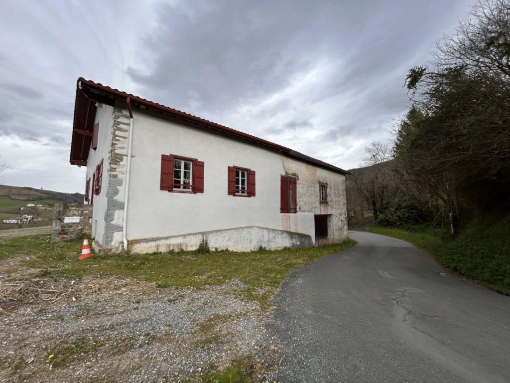 Photo 21