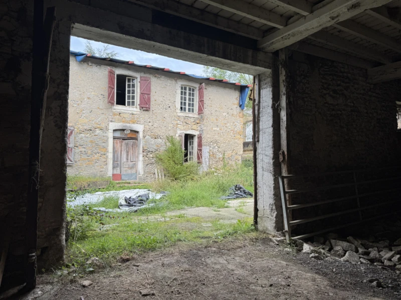 Photo 11
