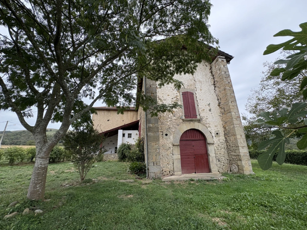 Photo 15