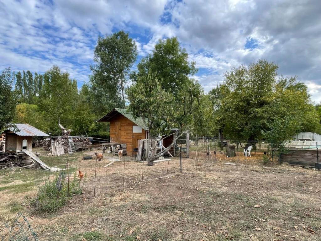 Photo 18