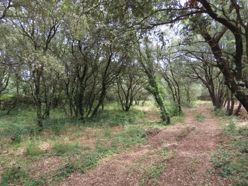 Photo Garrigue d'Uzès 7
