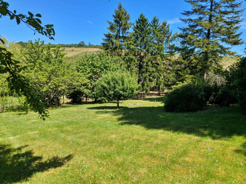jardin arboré à Mouffy