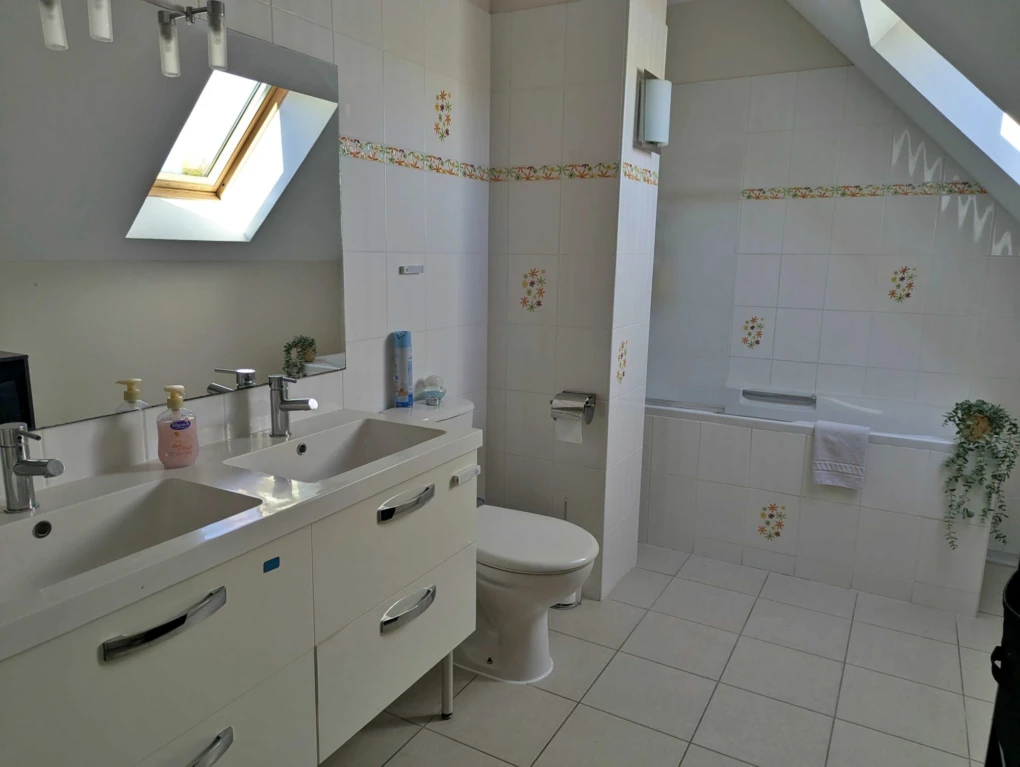 salle de bains avec wc