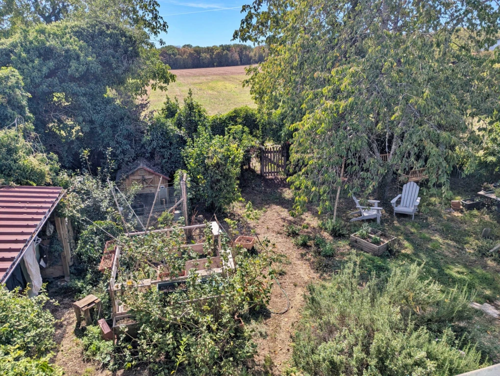 vu du jardin depuis le balcon Sud PARIS