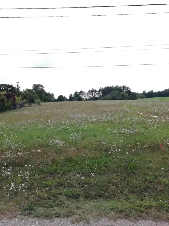 vue sur le terrain à bâtir depuis la rue