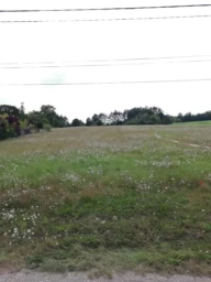 vue sur le terrain à bâtir depuis la rue