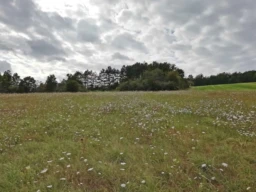 Terrain à bâtir 4.100 à 8.200m²