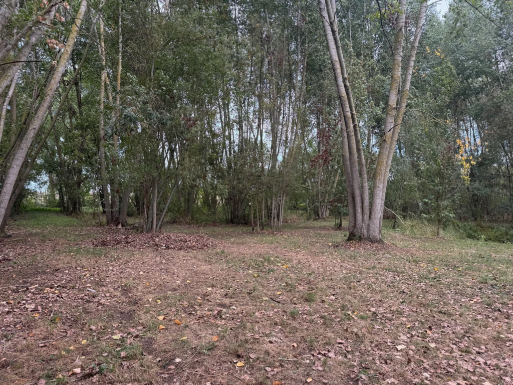 AGENCEIMMOBILIÈRE -THIRÉ-85210 TERRAIN-DE-LOISIRS À VENDRE n°1
