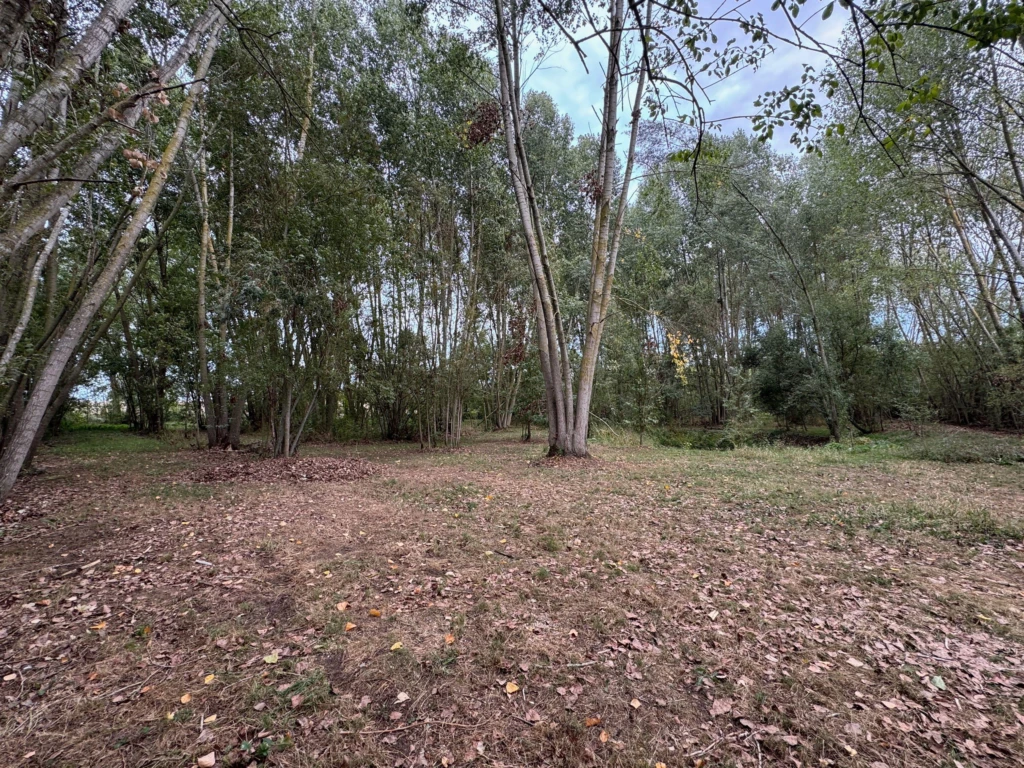 AGENCEIMMOBILIÈRE -THIRÉ-85210 TERRAIN-DE-LOISIRS À VENDRE n°2