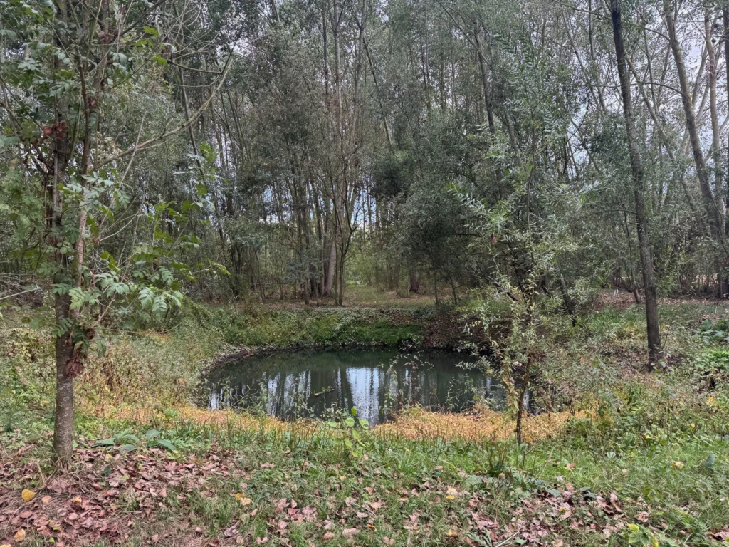 AGENCEIMMOBILIÈRE -THIRÉ-85210 TERRAIN-DE-LOISIRS À VENDRE n°3