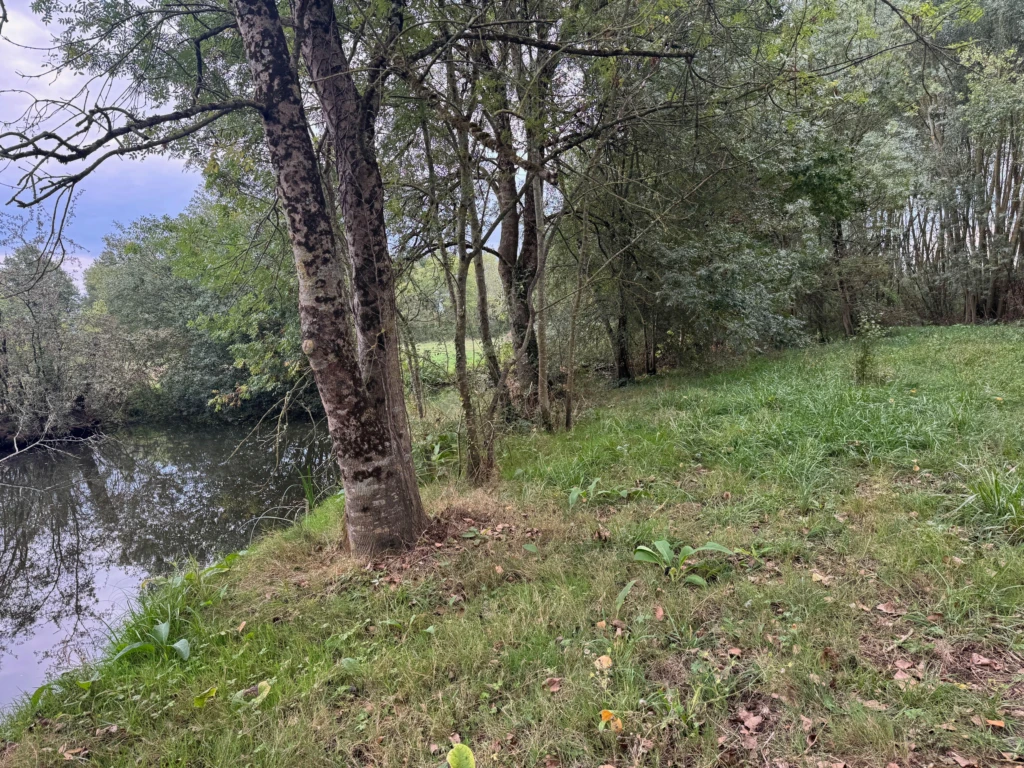 AGENCEIMMOBILIÈRE -THIRÉ-85210 TERRAIN-DE-LOISIRS À VENDRE n°5