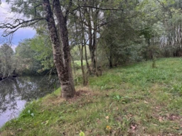 AGENCEIMMOBILIÈRE -THIRÉ-85210 TERRAIN-DE-LOISIRS À VENDRE n°5
