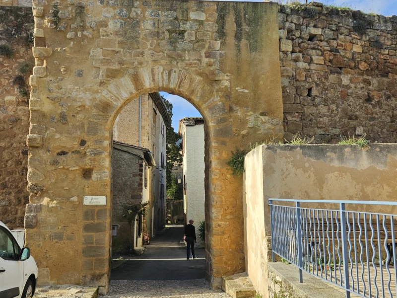 Photo 19