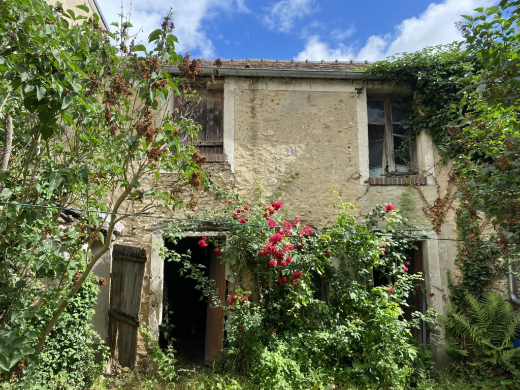 Photo 16