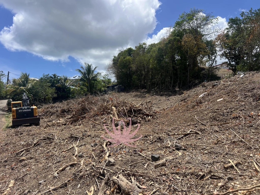 n°2