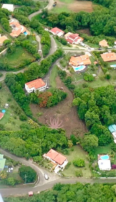 n°2