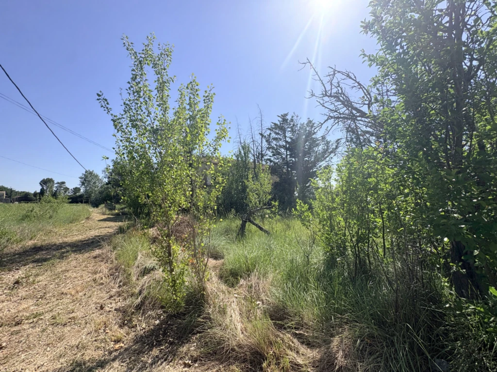 Photo 29