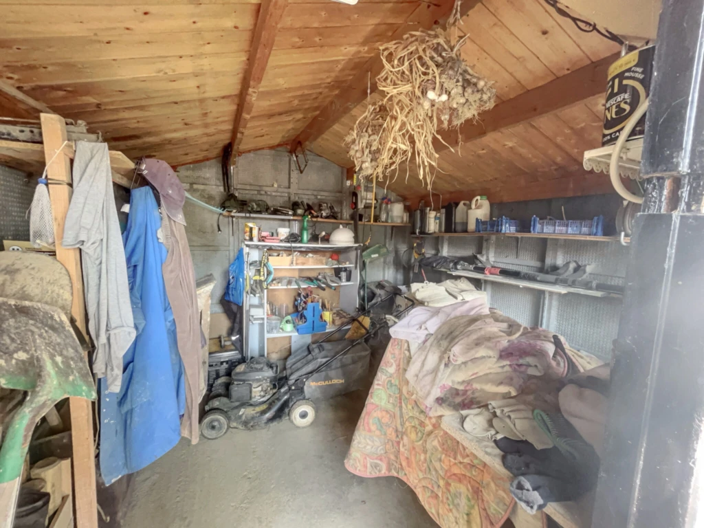 Photo 17