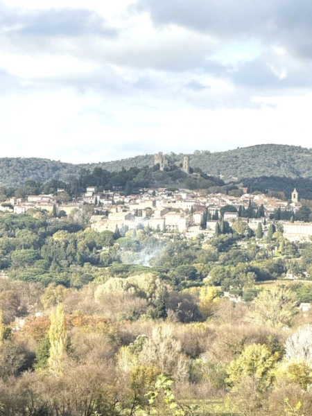 OFFRES EXCLUSIVES pour ce Joli T3 - lumineux et vue Grimaud à Cogolin 4