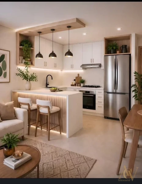 Idéal premier achat, T2 avec jardin 1