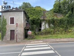 n°1