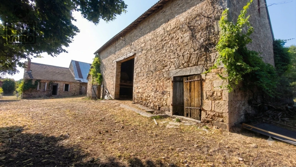 n°2