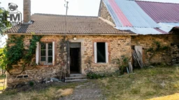 n°4