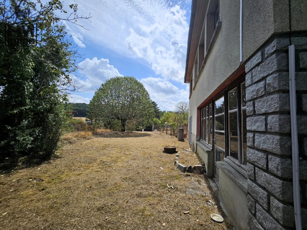 n°3