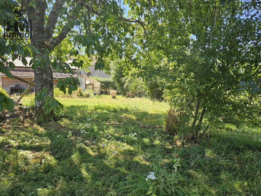 n°8