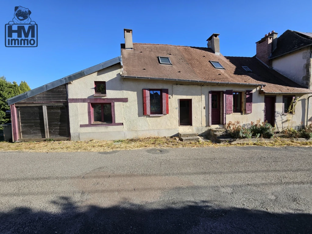n°11