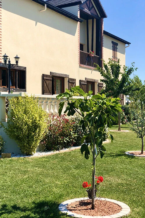 Photo 16