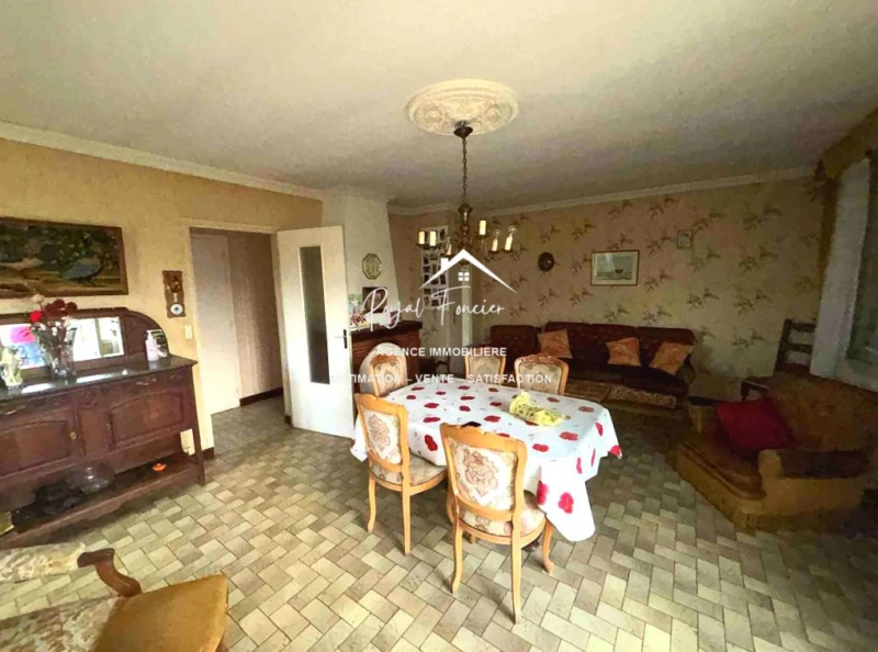 Séjour avec cheminée