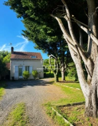 Maison entièrement restaurée de 75 m2 hab avec sa terrasse sans vis à vis
