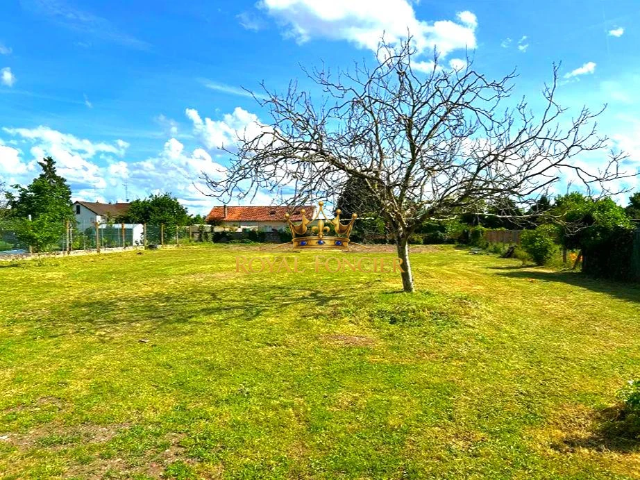 Terrasse à l'arrière de la maison
