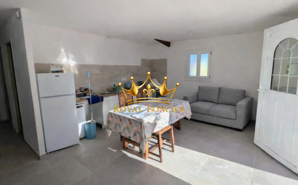 Séjour avec coin cuisine de 20m²