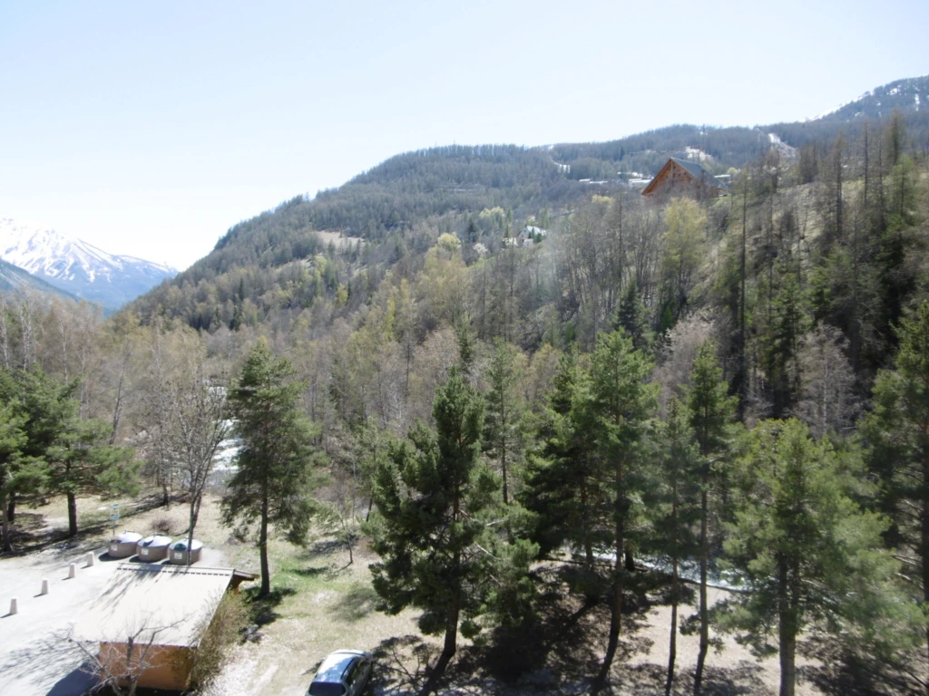 Photo 6