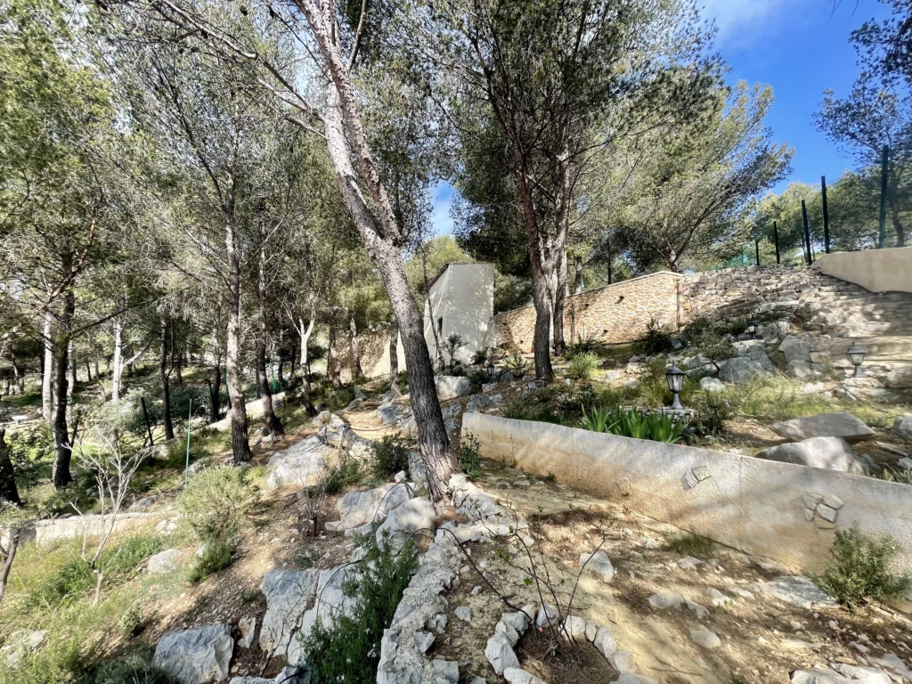 n°1