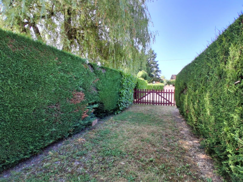 Photo 18