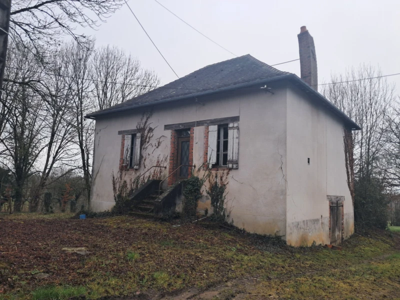 Photo 16